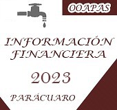 INFORMACION FINANCIERA 2023